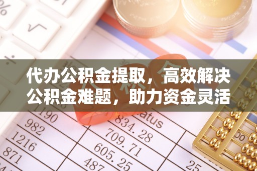 西藏代办公积金提取，高效解决公积金难题，助力资金灵活使用