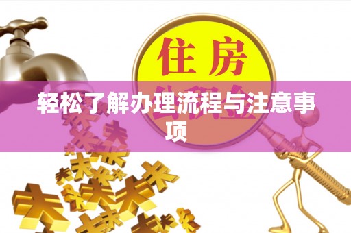 西藏轻松了解办理流程与注意事项