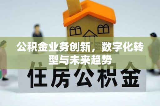 西藏公积金业务创新，数字化转型与未来趋势