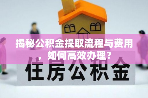 西藏揭秘公积金提取流程与费用，如何高效办理？