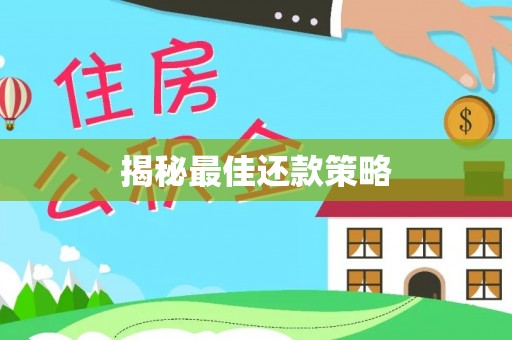 西藏揭秘最佳还款策略