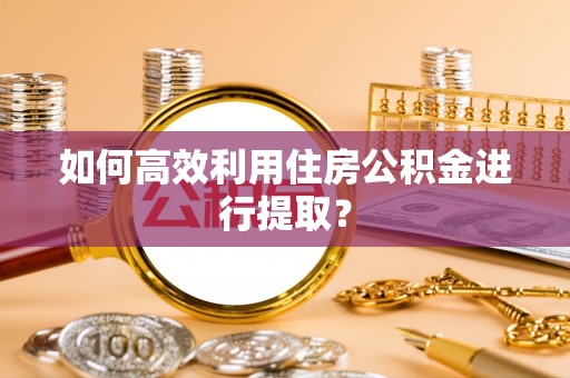 西藏如何高效利用住房公积金进行提取？