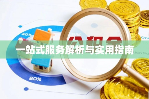 西藏一站式服务解析与实用指南