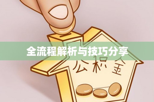 西藏全流程解析与技巧分享