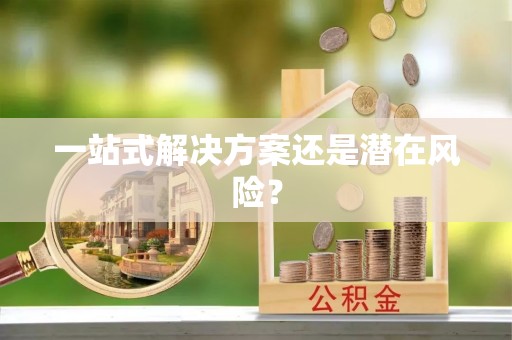 西藏一站式解决方案还是潜在风险？