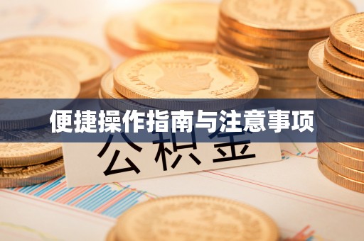 西藏便捷操作指南与注意事项